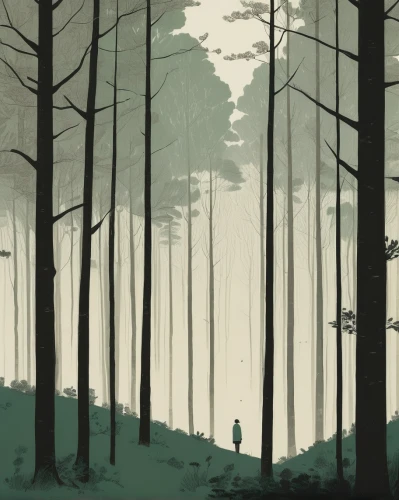 the forest,the forests,forest,forest background,foggy forest,forests,forest walk,the woods,pine forest,haunted forest,forest landscape,forest dark,cartoon forest,coniferous forest,woods,forest man,deciduous forest,in the forest,spruce forest,woodland,Illustration,Japanese style,Japanese Style 08