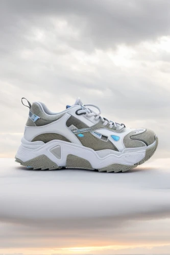 huarache,lunar rocks,tinker,outdoor shoe,climbing shoe,hiking shoe,beach shoes,icy,air,security shoes,fighter jets,mags,active footwear,puma,water shoe,fisherman sandal,product photos,tennis shoe,snowshoe,athletic shoe,Common,Common,Natural