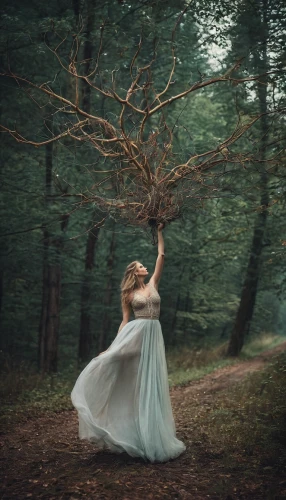 ballerina in the woods,girl with tree,throwing leaves,dryad,forest of dreams,faerie,in the forest,falling on leaves,the girl next to the tree,fairy forest,conceptual photography,enchanted forest,girl in a long dress,faery,fae,fallen tree,the forest fell,whirling,forest tree,elven forest,Illustration,Realistic Fantasy,Realistic Fantasy 40