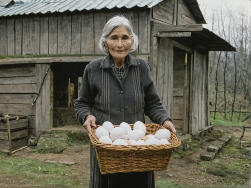 goose eggs,eggs in a basket,free-range eggs,picking vegetables in early spring,fresh eggs,boiled eggs,ayran,white eggs,egg basket,sorbian easter eggs,cultivated garlic,kefir,woman with ice-cream,milkmaid,organic egg,basket weaver,chicken eggs,egg net,bulgarian onion,basket maker,Art,Artistic Painting,Artistic Painting 07