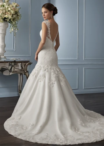 wedding dresses,wedding gown,bridal clothing,bridal dress,wedding dress,wedding dress train,quinceanera dresses,bridal party dress,ball gown,bridal,overskirt,bridal veil,bridal suite,lace border,blonde in wedding dress,debutante,hoopskirt,dress form,bridal shoe,royal lace,Illustration,American Style,American Style 08