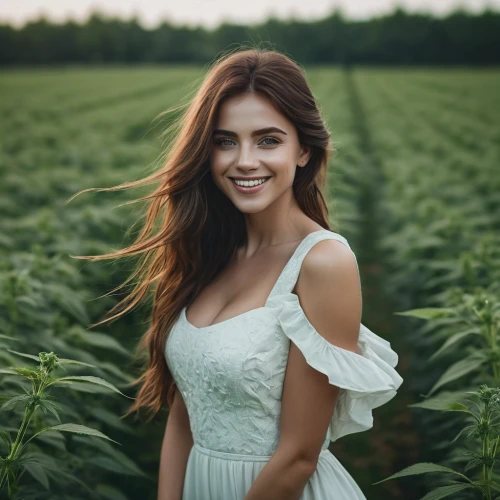 farm girl,beautiful girl with flowers,farm background,girl in flowers,farmer,hemp milk,countrygirl,country dress,girl in the garden,liberty cotton,corn field,girl in overalls,girl in a long dress,crop plant,cotton plant,green fields,agricultural,agriculture,agroculture,woman of straw,Photography,Documentary Photography,Documentary Photography 08