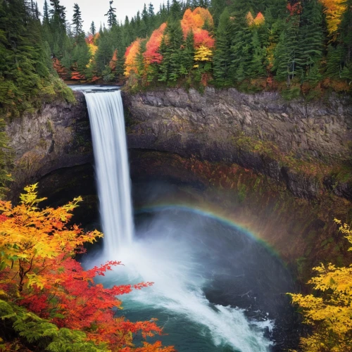 helmcken falls,bond falls,bridal veil fall,salt creek falls,oregon,ilse falls,united states national park,bow falls,rainbow bridge,washington state,falls,falls of the cliff,fall landscape,tower fall,water falls,brown waterfall,mckenzie river,colors of autumn,water fall,moonbow,Illustration,Japanese style,Japanese Style 10