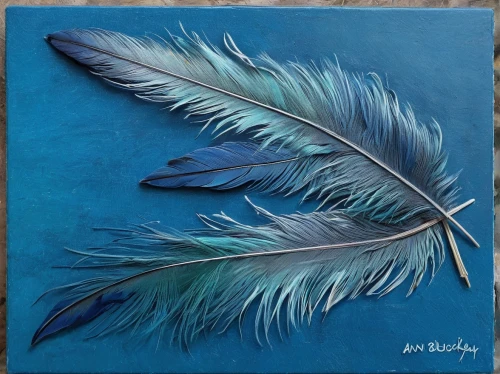 feather jewelry,bird feather,feathers,feather,parrot feathers,peacock feathers,color feathers,white feather,swan feather,feather headdress,chicken feather,hawk feather,peacock feather,feather on water,pigeon feather,bird wing,beak feathers,bird painting,bird wings,angel wing,Illustration,Paper based,Paper Based 15
