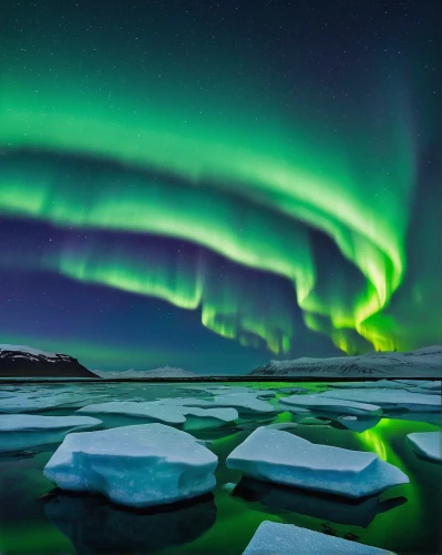 northen lights,norther lights,polar lights,auroras,northern light,northern lights,the northern lights,green aurora,polar aurora,nothern lights,aurora borealis,northen light,northernlight,aurora polar,greenland,iceland,aurora,aurora australis,northern norway,borealis,Art,Artistic Painting,Artistic Painting 48