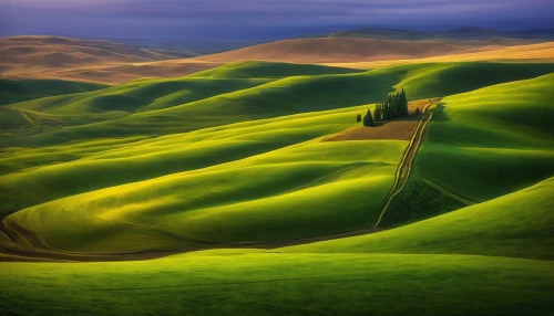 rolling hills,tuscany,green landscape,beautiful landscape,green fields,landscape photography,grasslands,tuscan,natural landscape,landscape nature,hills,nature landscape,home landscape,landscapes beautiful,landscape background,landform,landscapes,grassland,rural landscape,mountainous landscape,Illustration,Abstract Fantasy,Abstract Fantasy 09