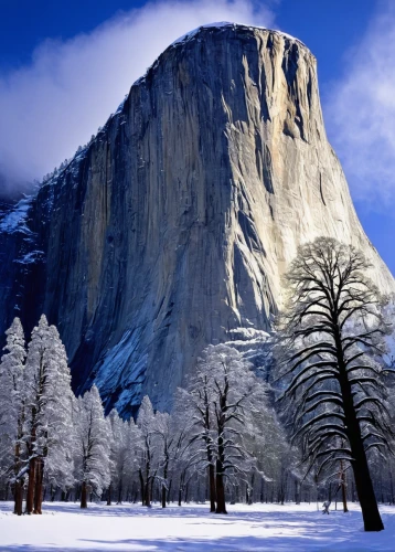 half dome,half-dome,yosemite,yosemite park,yosemite national park,yosemite valley,united states national park,salt meadow landscape,snowy mountains,landscapes beautiful,national park,snow mountain,beautiful landscape,el capitan,snowy landscape,the national park,snow landscape,mountains snow,landscape background,giant mountains,Illustration,American Style,American Style 02