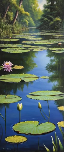water lilies,lotus on pond,lotus pond,water lotus,white water lilies,pond flower,lily pond,lotuses,waterlily,lily pads,water lily,lilly pond,lotus flowers,water lilly,aquatic plants,aquatic plant,flower painting,pink water lilies,lily pad,large water lily,Conceptual Art,Fantasy,Fantasy 30