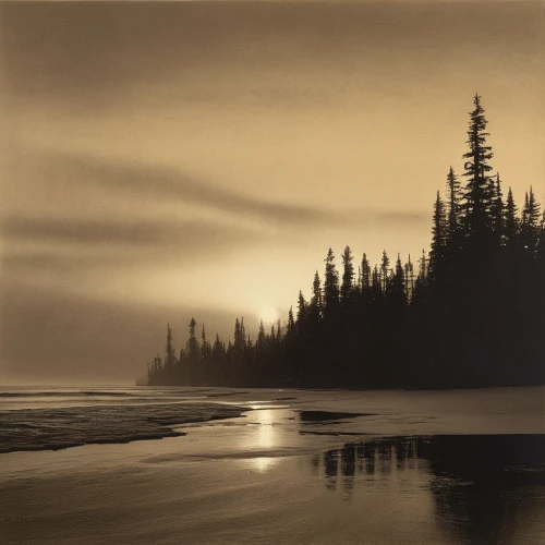 stieglitz,matruschka,spruce forest,sepia,northernlight,spruce trees,west canada,coastal landscape,olle gill,boreal,asher durand,fog banks,evening atmosphere,andreas cross,spruce-fir forest,yukon river,beach landscape,gloaming,fairbanks,first light,Conceptual Art,Sci-Fi,Sci-Fi 08