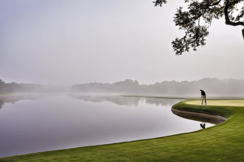 golf landscape,feng shui golf course,golf course background,the shoals course,doral golf resort,golf resort,landscape designers sydney,grand national golf course,magnolia golf course,water hazard,the golf valley,panoramic golf,golf hotel,golf courses,hickory golf,indian canyons golf resort,indian canyon golf resort,the golfcourse,foggy landscape,morning mist,Illustration,Vector,Vector 14