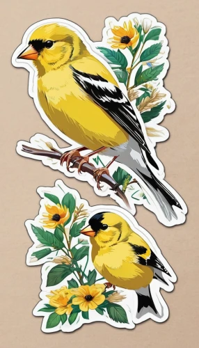 goldfinches,magnolia warbler,finch bird yellow,evening grosbeak,yellow winter finch,golden finch,yellow finch,animal stickers,saffron bunting,gold finch,american goldfinch,finches,canary bird,goldfinch,blackburnian warbler,flower and bird illustration,pine warbler,western tanager,yellow robin,european goldfinch,Unique,Design,Sticker