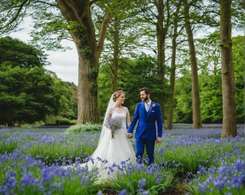 bluebells,beautiful bluebells,wedding photo,wedding photography,walking down the aisle,wedding couple,pre-wedding photo shoot,bride and groom,wedding photographer,bluebell,mr and mrs,royal blue,beautiful couple,sefton park,wedding suit,blue grape hyacinth,wedding flowers,towards the garden,blue and green,trerice in cornwall,Conceptual Art,Daily,Daily 26