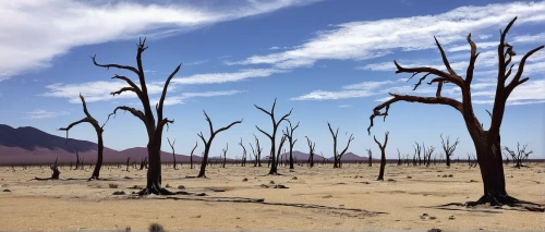 dead vlei,desertification,deforested,deadvlei,arid landscape,the dry season,arid land,scorched earth,arid,namibia nad,mesquite flats,post-apocalyptic landscape,ghost forest,argentina desert,namibia,namib rand,burned land,dead wood,the atacama desert,environmental sin,Illustration,Paper based,Paper Based 18