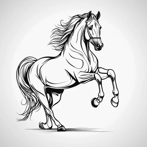 draft horse,dressage,equine,a horse,arabian horse,horsemanship,belgian horse,bolt clip art,horse,equestrian,a white horse,shire horse,horse running,horse tack,quarterhorse,centaur,horse harness,vector illustration,galloping,equestrian sport,Illustration,Black and White,Black and White 04