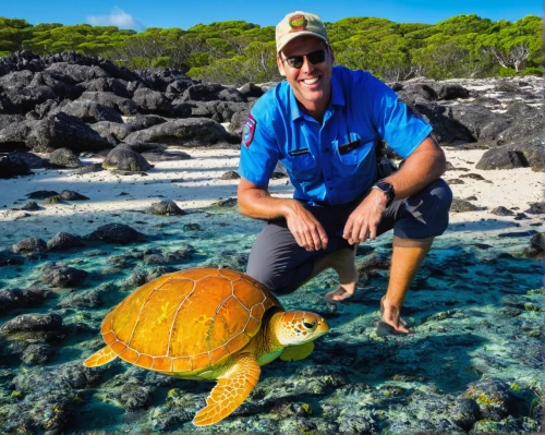 galapagos islands,loggerhead turtle,green turtle,hawksbill sea turtle,green sea turtle,galapagos,florida redbelly turtle,loggerhead sea turtle,heron island,cook islands,marine biology,galápagos tortoise,sea turtle,great barrier reef,land turtle,bonaire,cayman,seychelles,wildlife biologist,marine life,Photography,Artistic Photography,Artistic Photography 10