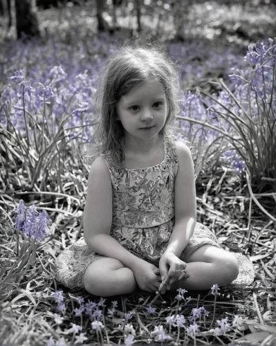 girl picking flowers,girl in flowers,beautiful girl with flowers,picking flowers,girl in the garden,flower girl,innocence,little flower,little girl fairy,bluebell,violet flowers,the lavender flower,little girl,the little girl,lilac flower,granddaughter,on a wild flower,children's photo shoot,child in park,bluebells,Illustration,Black and White,Black and White 11