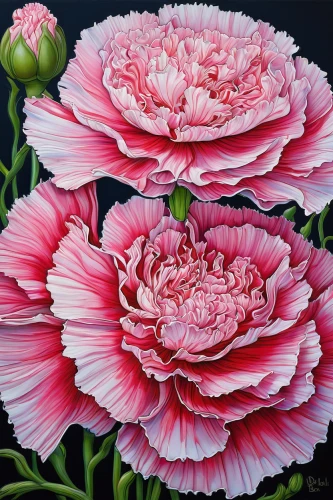 pink dahlias,pink chrysanthemums,pink carnations,dahlias,flower painting,pink carnation,pink peony,peonies,pink chrysanthemum,peony bouquet,crown carnation,peacock carnation,peony pink,peony,filled dahlias,carnation coloring,dahlia pink,sea carnations,mini carnation,carnation,Illustration,Abstract Fantasy,Abstract Fantasy 04