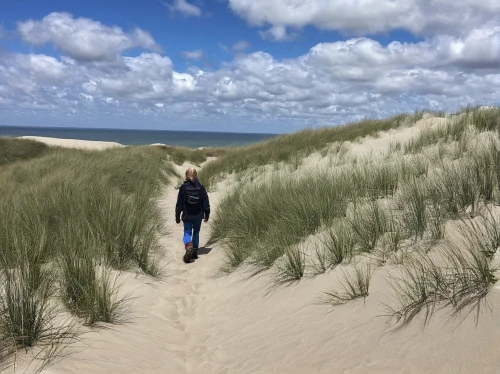 amrum,girl on the dune,high-dune,ameland,sylt,westerhever,dunes national park,texel,the beach-grass elke,the sand dunes,drotning holm,the touquet,dune sea,san dunes,sand dunes,henne strand,zingst,moving dunes,knokke,dunes,Illustration,Retro,Retro 20