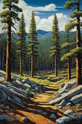 salt meadow landscape,forest landscape,spruce forest,coniferous forest,pine forest,pine trees,spruce-fir forest,temperate coniferous forest,northwest forest,spruce trees,fir forest,forest road,mountain scene,oil on canvas,row of trees,evergreen trees,conifers,the forests,lodgepole pine,larch forests,Illustration,Realistic Fantasy,Realistic Fantasy 29