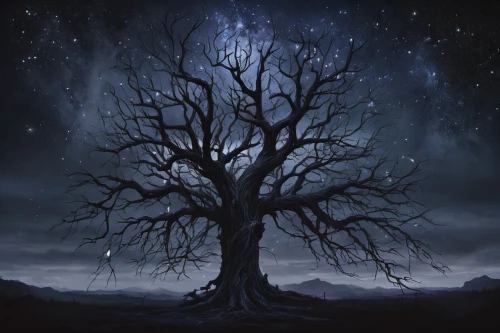 magic tree,tree of life,isolated tree,tree thoughtless,celtic tree,bodhi tree,creepy tree,the branches of the tree,halloween bare trees,lone tree,ghost forest,bare tree,wondertree,sacred fig,black oak,elm tree,old tree,old gnarled oak,scratch tree,star wood,Conceptual Art,Fantasy,Fantasy 34
