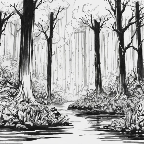 swampy landscape,cartoon forest,haunted forest,the forests,the woods,the forest,row of trees,riparian forest,forests,beech trees,old-growth forest,deciduous forest,forest glade,forest floor,tree grove,forest,forest walk,swamp,chestnut forest,halloween bare trees,Illustration,Black and White,Black and White 34
