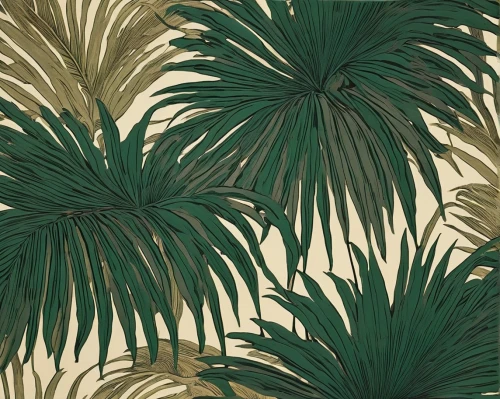 palm leaves,palm branches,palm tree vector,palmtrees,tropical floral background,palms,tropical leaf pattern,tropical digital paper,palm fronds,palm forest,palm field,palmtree,palm lilies,botanical print,palm,palm leaf,palm pasture,pineapple background,royal palms,palm trees,Illustration,Black and White,Black and White 24