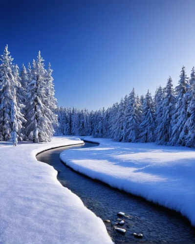 snow landscape,winter landscape,snowy landscape,winter background,winter forest,northern black forest,ice landscape,snow scene,winter lake,fragrant snow sea,winter wonderland,temperate coniferous forest,christmas landscape,snow bridge,christmas snowy background,winter dream,coniferous forest,winter magic,wintry,winter morning,Photography,Black and white photography,Black and White Photography 03