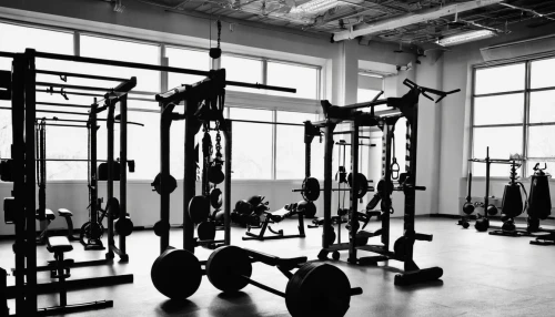 fitness room,fitness center,strength athletics,weights,workout equipment,weight training,strength training,weight lifting,facility,weight plates,weightlifting,weightlifting machine,dumbbells,overhead press,gym,kettlebells,lifting,pull-ups,exercise equipment,dumb bells,Illustration,Black and White,Black and White 33