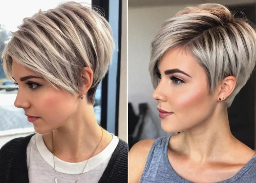 pixie-bob,asymmetric cut,pixie cut,layered hair,natural color,short blond hair,silver fox,smooth hair,trend color,neutral color,updo,semi-profile,gray color,caesar cut,grey fox,pixie,feathered hair,platinum,artificial hair integrations,glacier gray,Art,Artistic Painting,Artistic Painting 41