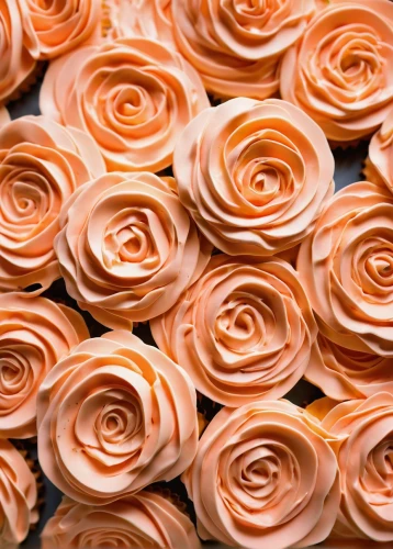 orange roses,orange rose,rose png,peach rose,orange floral paper,yellow rose background,ranunculus,paper flower background,orange petals,rose wrinkled,roses pattern,noble roses,paper roses,rose roses,regnvåt rose,petals,defense,sugar roses,flower rose,flowers png,Conceptual Art,Oil color,Oil Color 18