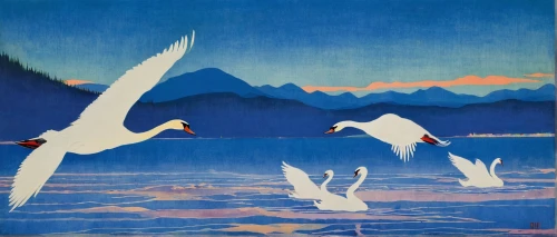 trumpeter swans,fujian white crane,swans,wild geese,snow goose,swan lake,bird painting,canadian swans,arctic birds,water birds,migratory birds,geese,young swans,tula fighting goose,seabirds,waterfowl,trumpeter swan,water fowl,geese flying,tundra swan,Illustration,Japanese style,Japanese Style 21