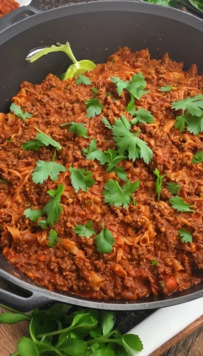 chili con carne,bolognese sauce,muhammara,bolognese,arroz con gandules,dak galbi,spanish rice,sambal chilli,kimchi fried rice,beef mince,cottage pie,beef goulash,menemen,spiced rice,jollof rice,mostaccioli,red chile,red chili,ebi chili,cassoulet,Illustration,Paper based,Paper Based 15