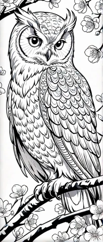 coloring pages,coloring page,owl art,owl drawing,owl background,owl pattern,line art birds,coloring pages kids,line art animal,coloring picture,owl digital paper,sparrow owl,line art animals,boobook owl,ornamental bird,owl,coloring for adults,an ornamental bird,bird illustration,barred owl,Anime,Anime,General