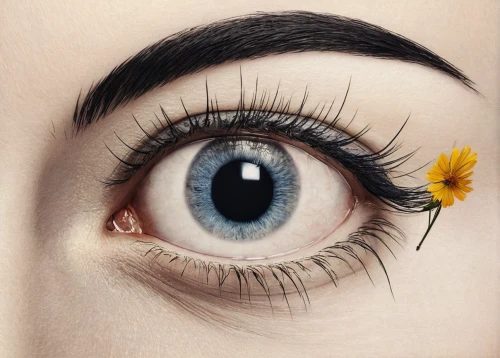 ox-eye daisy,women's eyes,eyelash extensions,helianthus,helianthus sunbelievable,black-eyed susan,sunflower lace background,contact lens,oxeye daisy,algerian iris,ojos azules,eyelash,eye butterfly,pupil,eye,pupils,eyes makeup,brown eye,eye ball,brown eyes,Illustration,Black and White,Black and White 29