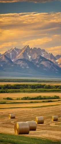 montana,wyoming,alberta,idaho,colorado,straw bales,teton,bales of hay,alcan highway,round bales,hay bales,salt meadow landscape,mountain meadow hay,barley field,bow valley,alaska,alaska pipeline,fairbanks,rocky mountains,bales,Conceptual Art,Daily,Daily 20