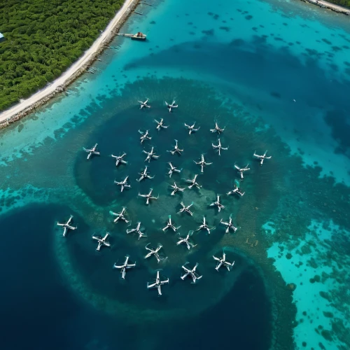atoll from above,atoll,heron island,maldives mvr,over water bungalows,maldives,formation flight,parked boat planes,great barrier reef,maldive islands,bird island,artificial islands,coral reef,seaplane,cayo coco,flying island,bora-bora,french polynesia,bahamas,cayo largo island,Photography,General,Natural