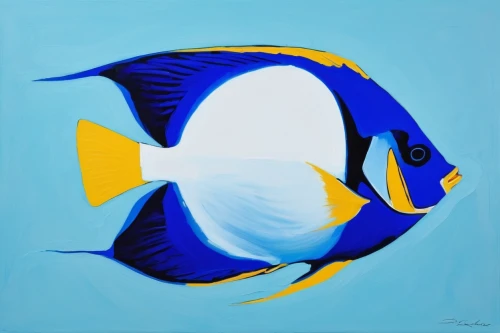 blue fish,triggerfish-clown,blue stripe fish,triggerfish,lemon surgeonfish,pallet surgeonfish,butterflyfish,blue angel fish,lemon butterflyfish,angelfish,butterfly fish,discus fish,trigger fish,thunnus,rooster fish,imperator angelfish,fish in water,fish,two fish,marine fish,Art,Artistic Painting,Artistic Painting 42