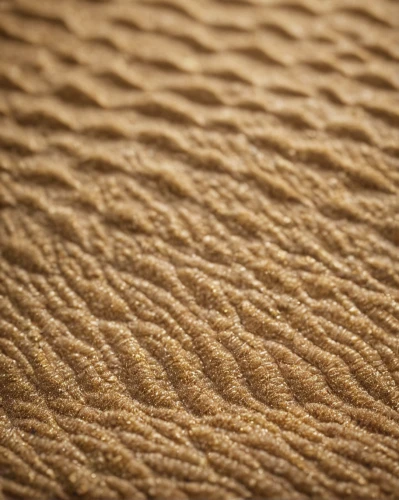 sand texture,sand seamless,sand pattern,sand waves,leather texture,fabric texture,sand paths,sand dune,abstract gold embossed,sackcloth textured,sand dunes,dune landscape,sand,wood wool,wood texture,seamless texture,pink sand dunes,admer dune,sandstone,brown fabric,Photography,General,Cinematic