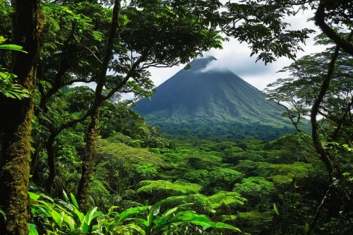 arenal volcano,costa rica,nicaragua,conguillío national park,arenal,mount taranaki,tropical and subtropical coniferous forests,the volcanic cone,dominica,moorea,belize,rabaul,aaa,guyana,dominican republic,extinct volcano,nicaragua nio,cabaneros national park,the volcano,mitre peak,Illustration,Japanese style,Japanese Style 18