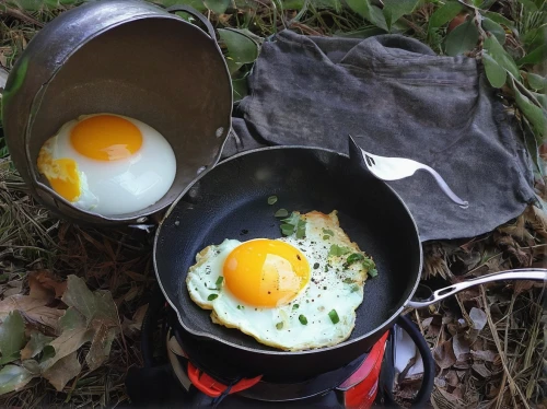 range eggs,free-range eggs,fried eggs,portable stove,brown eggs,fresh eggs,egg tray,garden breakfast,broken eggs,breakfast outside,cast iron skillet,yolks,camping equipment,boiled eggs,breakfast egg,outdoor cooking,eggs in a basket,white eggs,egg cartons,egg yolks,Illustration,Realistic Fantasy,Realistic Fantasy 16