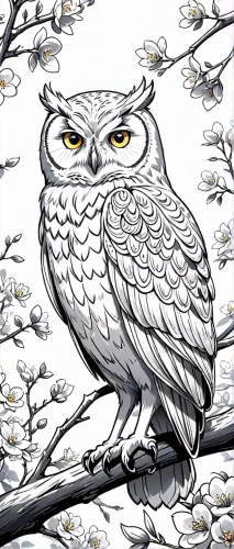 owl background,snow owl,owl art,owl pattern,snowy owl,owl drawing,owl nature,hedwig,siberian owl,owl-real,kirtland's owl,owl,grey owl,boobook owl,barred owl,sparrow owl,large owl,owls,tawny frogmouth owl,the great grey owl,Anime,Anime,General