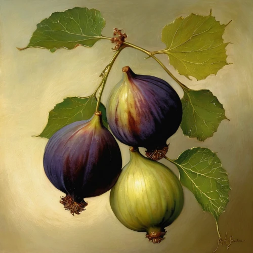 eggplant,eggplants,still life with onions,kohlrabi,figs,solanaceae,fig,brinjal,naranjilla,common fig,anellini,turnips,solanum,tomatillo,grape hyancinths,purple grapes,solanum melongena,sliced eggplant,la violetta,persian onion,Illustration,Realistic Fantasy,Realistic Fantasy 16