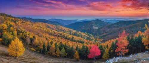 autumn mountains,larch forests,autumn background,autumn landscape,ravine red romania,colors of autumn,carpathians,fall landscape,western tatras,mountainous landscape,autumn scenery,autumn colors,autumn forest,tatra mountains,larch trees,mountain landscape,romania,bucegi mountains,the russian border mountains,landscape background,Illustration,Realistic Fantasy,Realistic Fantasy 20