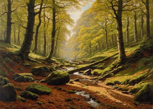 brook landscape,forest landscape,exmoor,forest road,beech forest,autumn forest,forest of dean,forest glade,the forests,autumn landscape,forest path,forest background,germany forest,beech trees,the forest,green forest,the brook,larch forests,woodland,riparian forest,Illustration,Realistic Fantasy,Realistic Fantasy 09