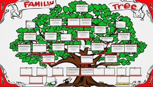 family tree,cardstock tree,plane-tree family,penny tree,mulberry family,chastetree,organization chart,birch family,elm family,barberry family,wondertree,celtic tree,scratch tree,soapberry family,the branches of the tree,tree of life,chile de árbol,jaggery tree,family care,hokka tree,Conceptual Art,Graffiti Art,Graffiti Art 01