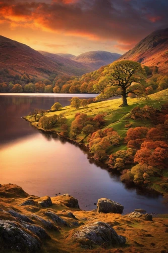 lake district,autumn landscape,autumn idyll,wales,autumn tree,lone tree,autumn background,landscapes beautiful,beautiful landscape,fall landscape,autumn scenery,scottish highlands,landscape background,yorkshire dales,autumn mountains,loch,peak district,nature landscape,scotland,fantasy landscape,Photography,Documentary Photography,Documentary Photography 32