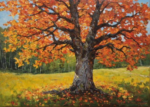 painted tree,autumn tree,fall landscape,scarlet oak,orange tree,trees in the fall,autumn trees,maple tree,new mexico maple,autumn landscape,silver maple,red oak,oak tree,deciduous tree,brown tree,fall foliage,oil painting,the trees in the fall,red maple,persimmon tree,Photography,Documentary Photography,Documentary Photography 35