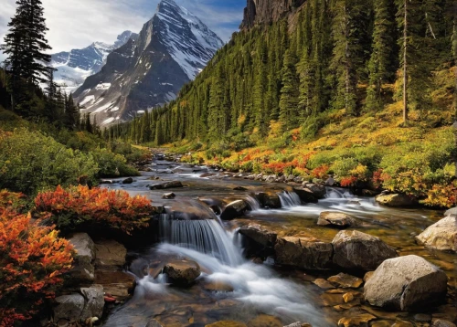 mountain landscape,mountain stream,canadian rockies,united states national park,beautiful landscape,landscapes beautiful,glacier national park,mountainous landscape,autumn mountains,nature landscape,salt meadow landscape,paine national park,mount robson,natural landscape,rocky mountain,natural scenery,mountain river,cascade mountain,mountain meadow,the natural scenery,Illustration,American Style,American Style 04