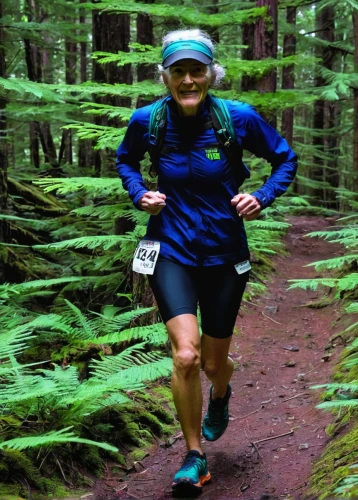 trail running,ultramarathon,adventure racing,female runner,spruce forest,lori mountain,run uphill,highline trail,trail searcher munich,long-distance running,cross-country skier,endurance sports,salmonberry,middle-distance running,temperate coniferous forest,singletrack,old-growth forest,larch forests,morskie oko,orienteering,Art,Artistic Painting,Artistic Painting 31