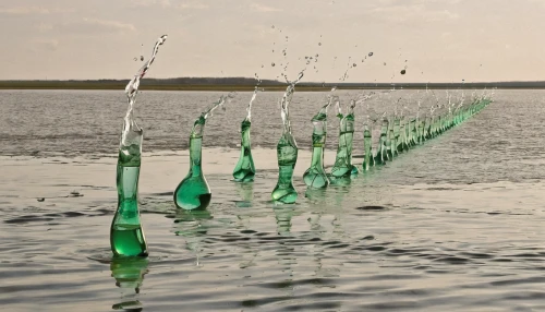 water display,wassertrofpen,glass bottles,drift bottle,rügen island,environmental art,green water,bottle surface,plastic bottles,emerald sea,water channel,message in a bottle,algae,czorsztyn lake,maasvlakte,water level,isolated bottle,glass series,salar flats,lampions,Photography,Fashion Photography,Fashion Photography 26